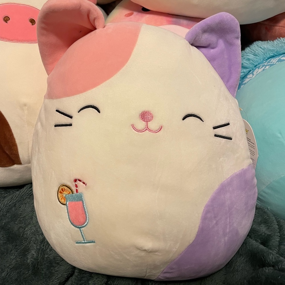 Charlotte Cat Squishmallow